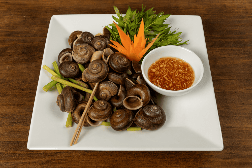 Mountain snails from Ninh Binh are foraged from limestone hills, prized for their firm texture and naturally sweet, earthy flavor
